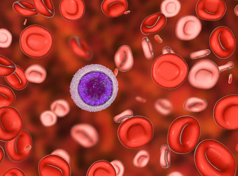 Illustration of a purple-and-white immune cell surrounded by red and pink blood cells in a reddish bloodstream, suggesting the body’s active defenses.